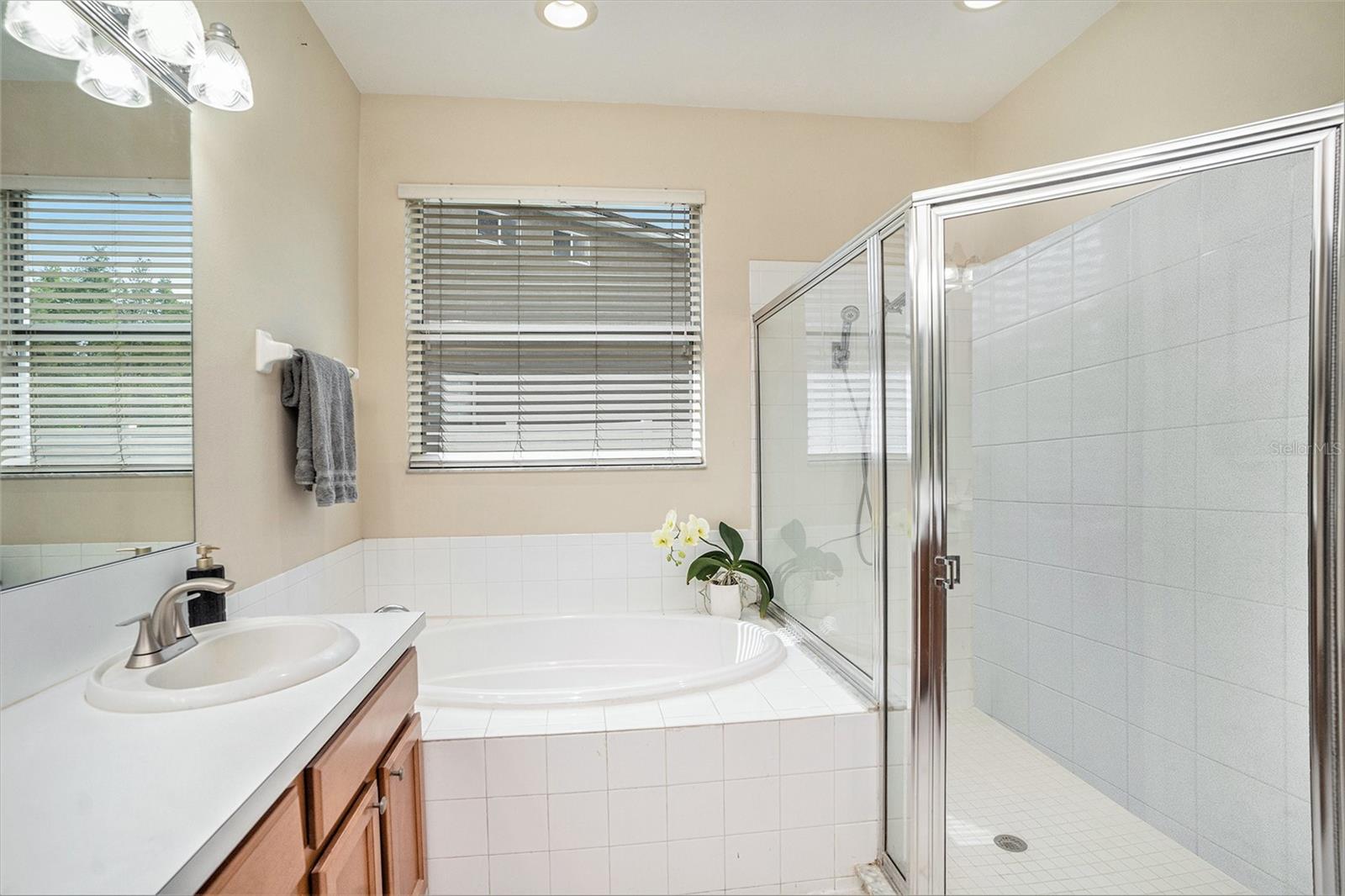 Primary Bathroom with separate tub and shower