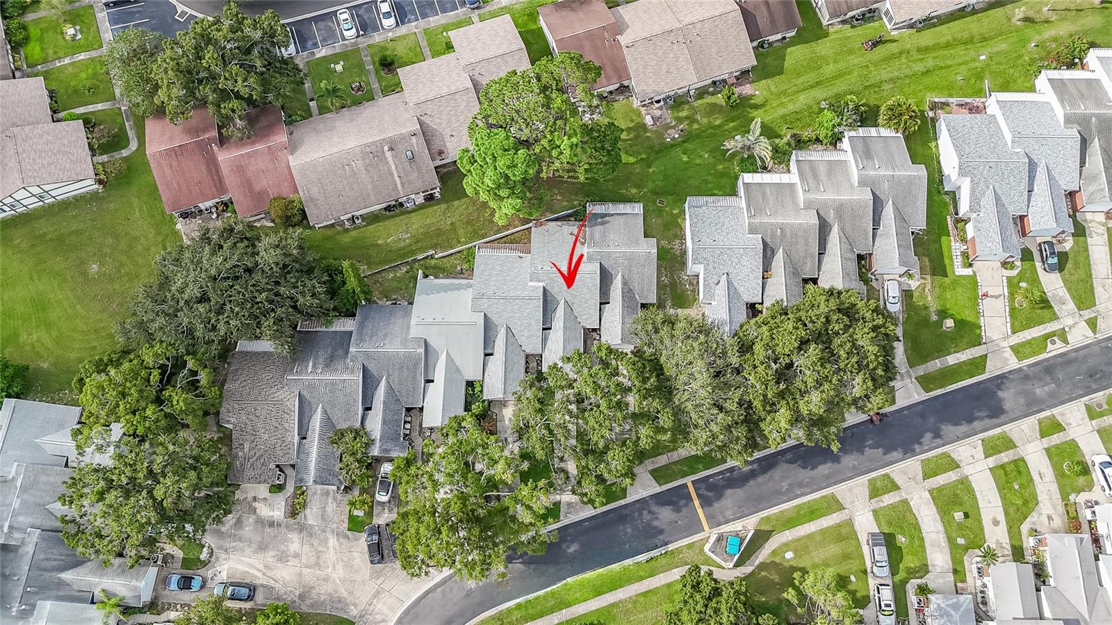 3054 BEECHER DR E #F, PALM HARBOR, FL, 34683