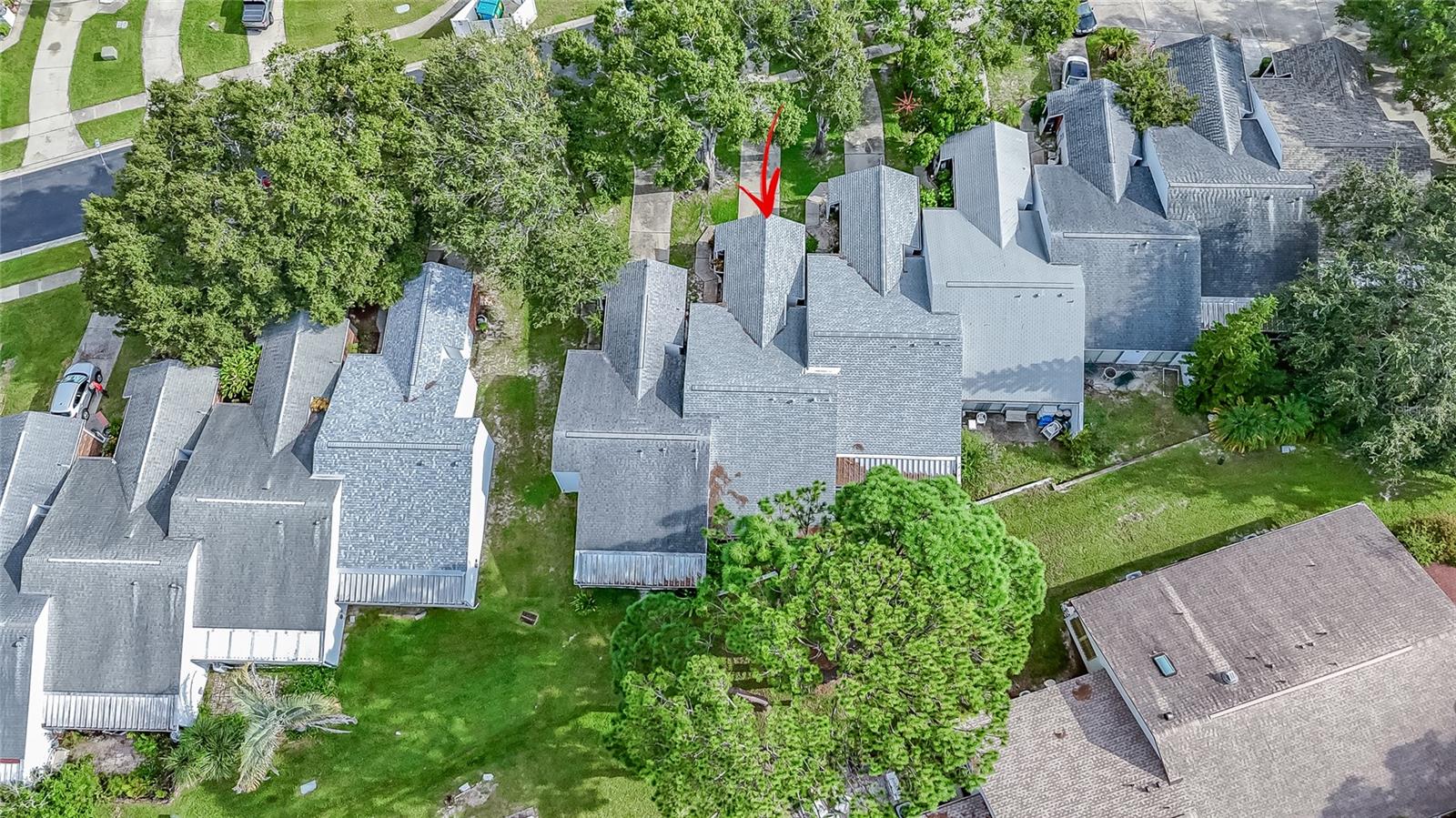 3054 BEECHER DR E #F, PALM HARBOR, FL, 34683