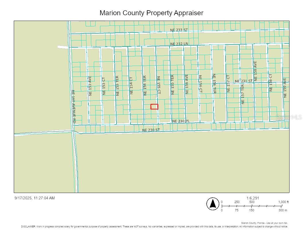 23070 NE 155TH CT, FORT MC COY, FL, 32134