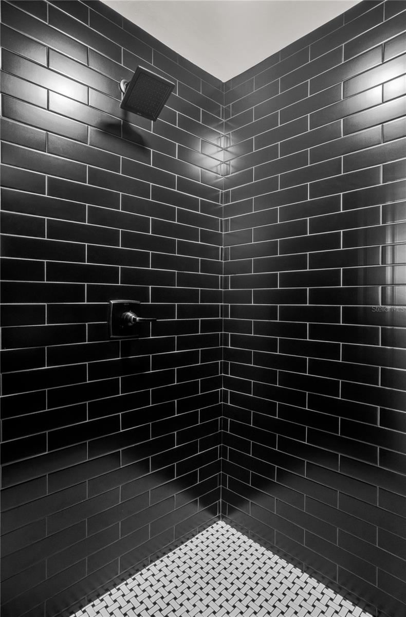 238 E LAKESHORE DR, CLERMONT, FL, 34711