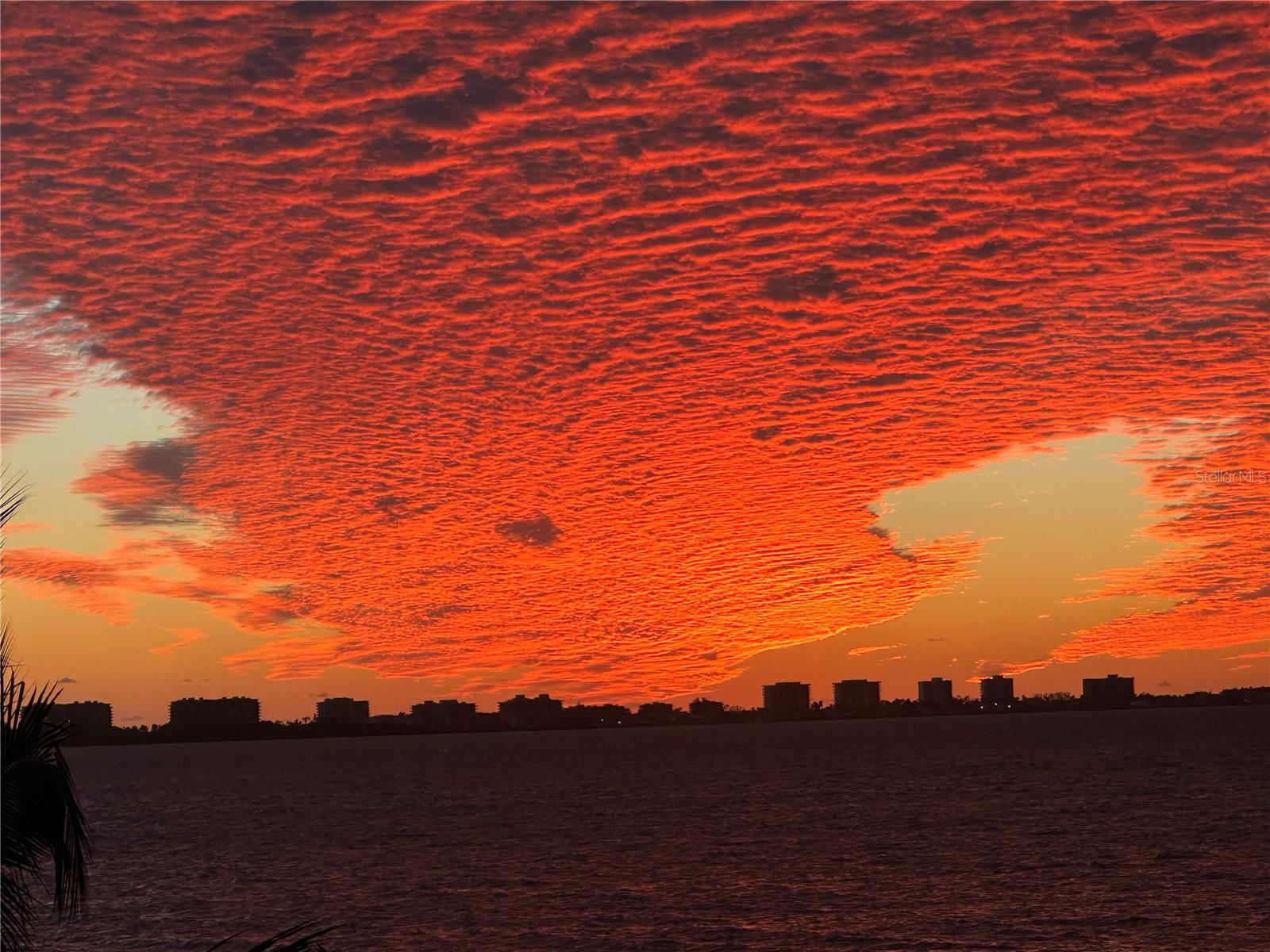 A4665431 Property Photo