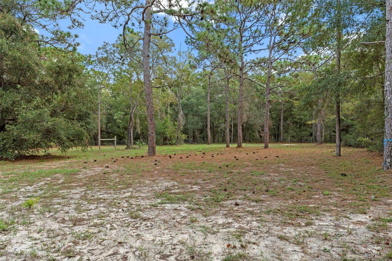 8192 FORT DADE AVE, BROOKSVILLE, FL, 34601