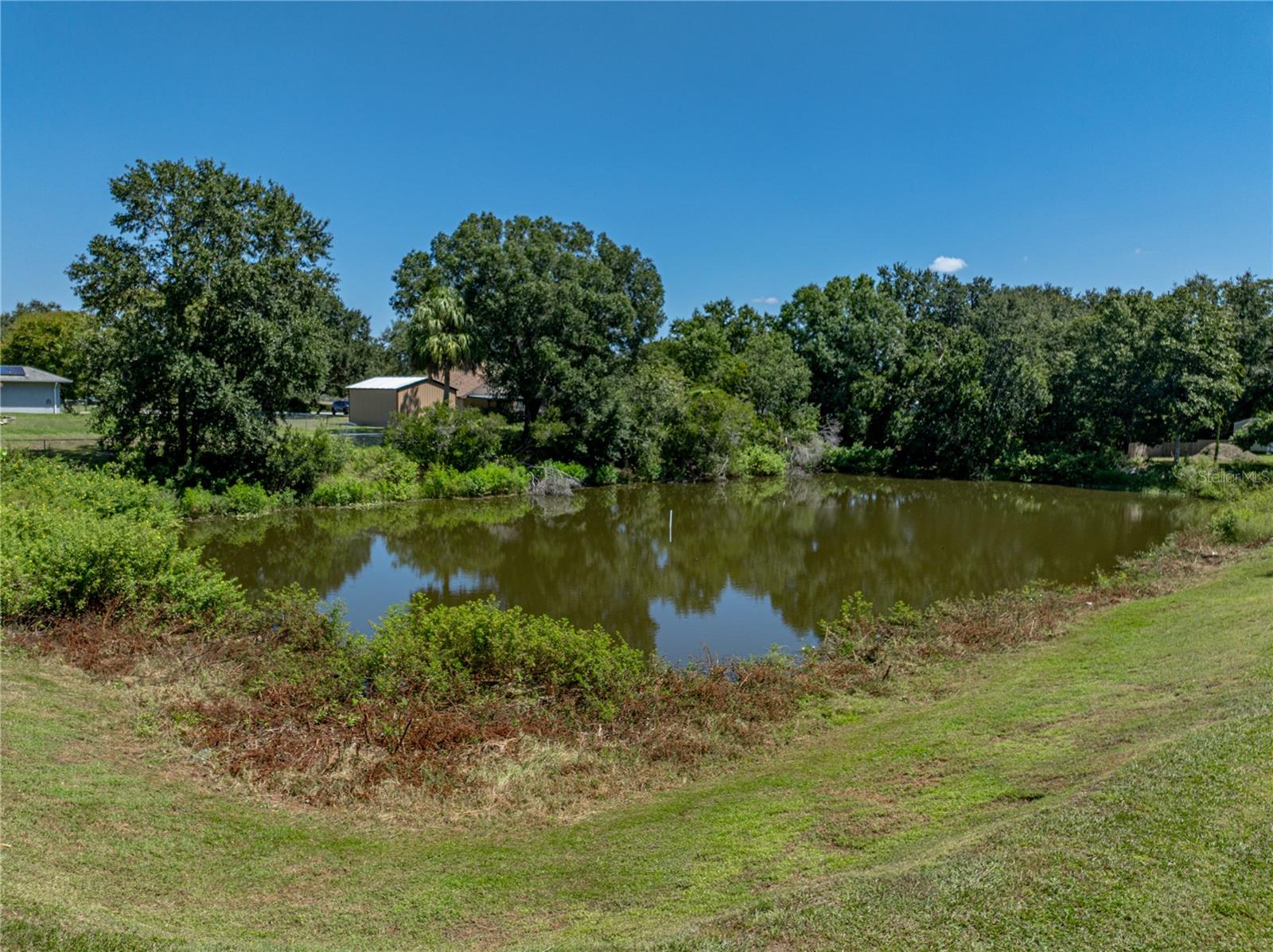 31511 SADDLE LN, WESLEY CHAPEL, FL, 33543