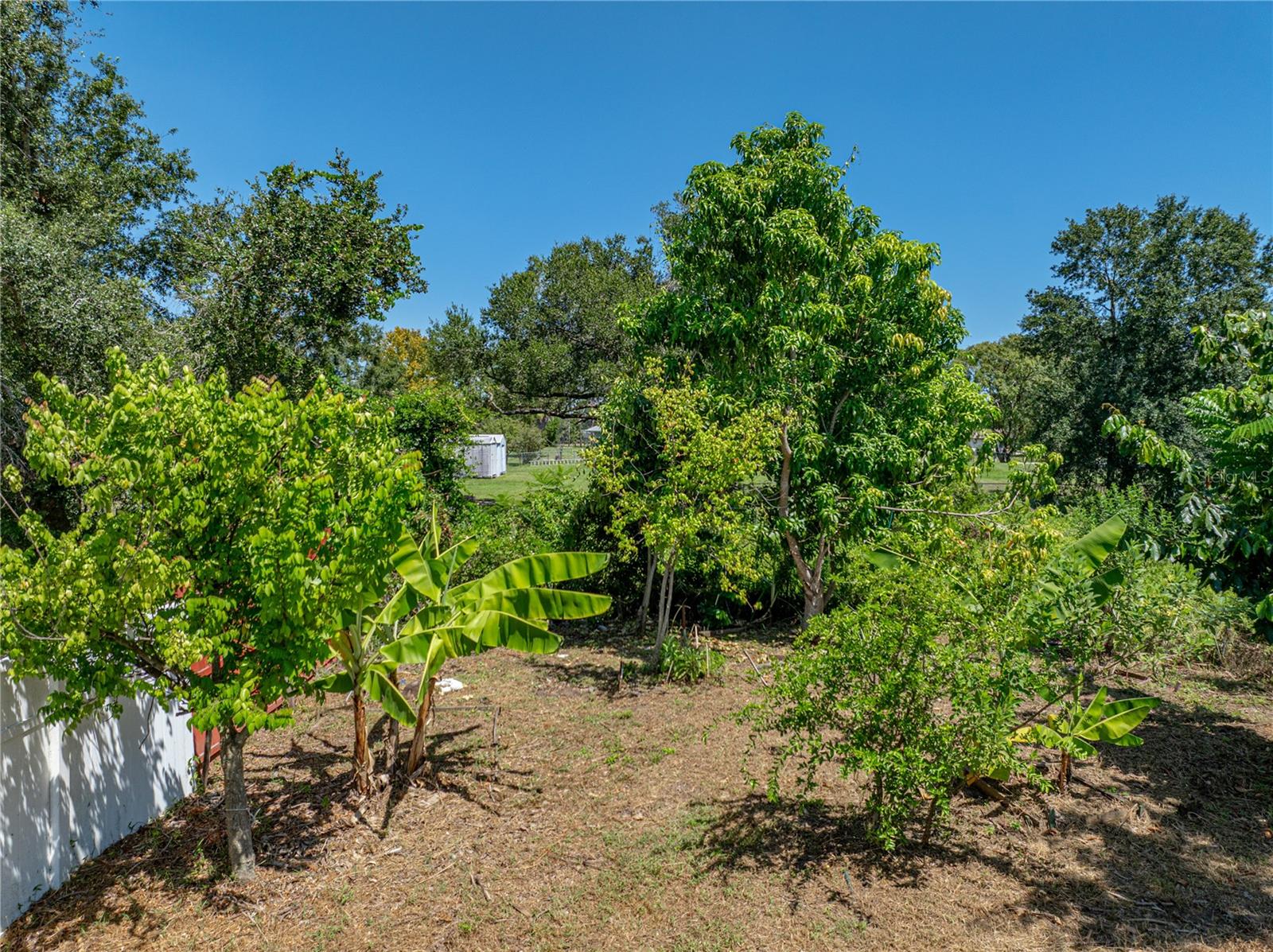 31511 SADDLE LN, WESLEY CHAPEL, FL, 33543