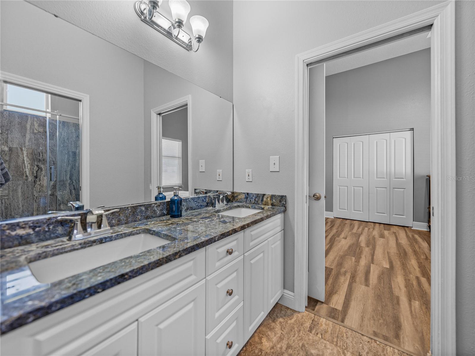 31511 SADDLE LN, WESLEY CHAPEL, FL, 33543