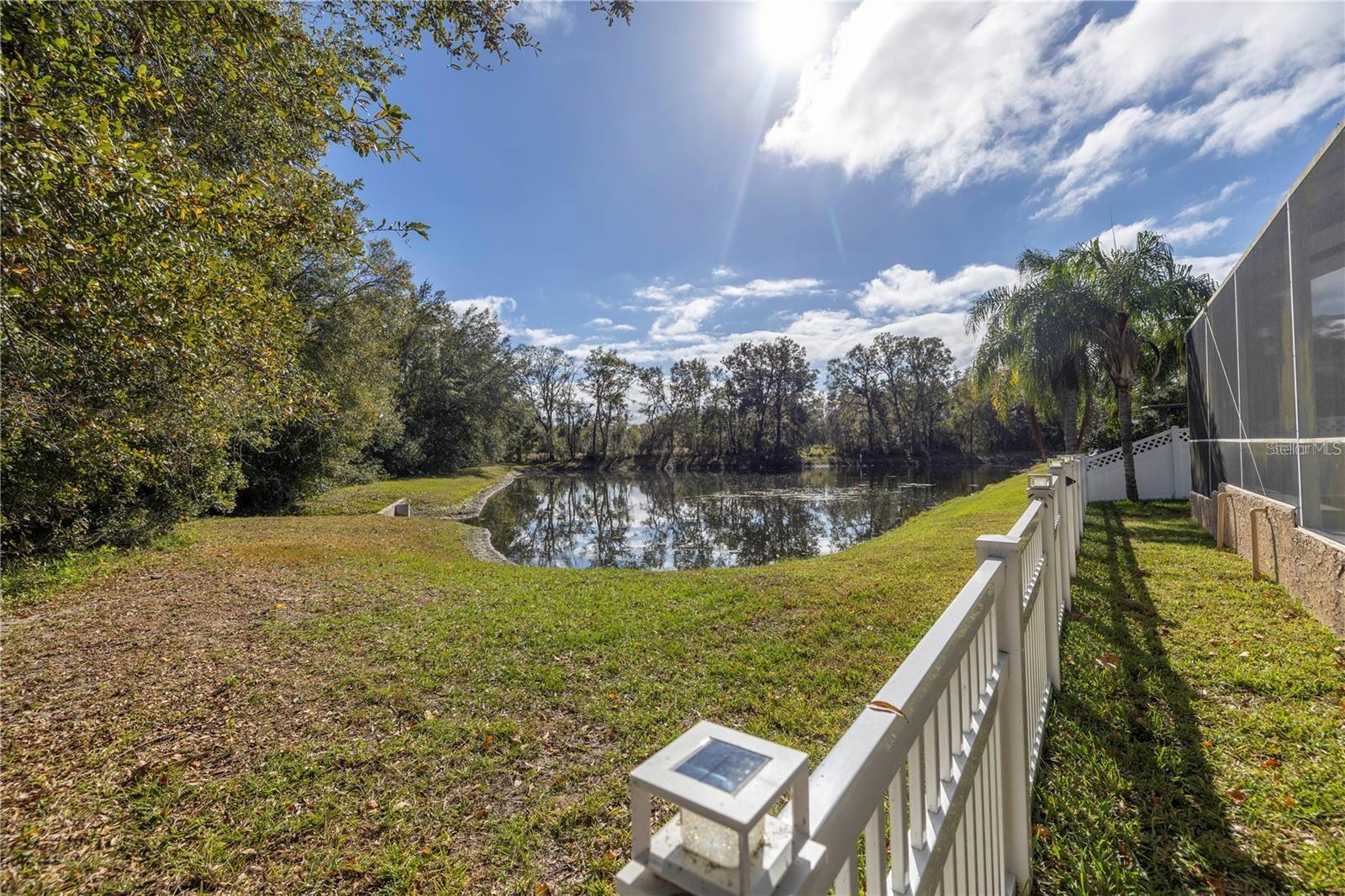 4810 PATAGONIA PL, LAND O LAKES, FL, 34638