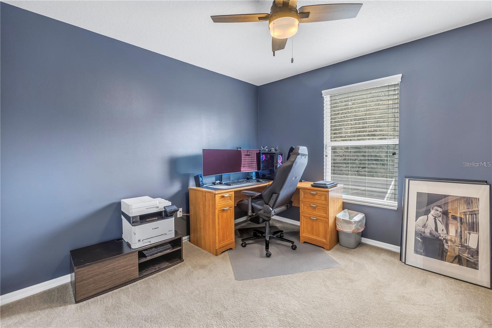 4810 PATAGONIA PL, LAND O LAKES, FL, 34638