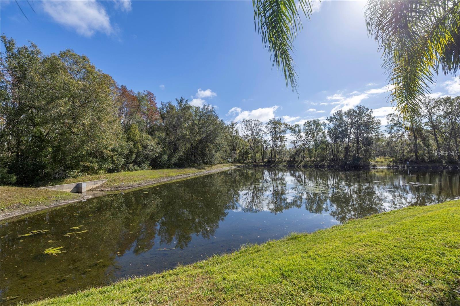 4810 PATAGONIA PL, LAND O LAKES, FL, 34638
