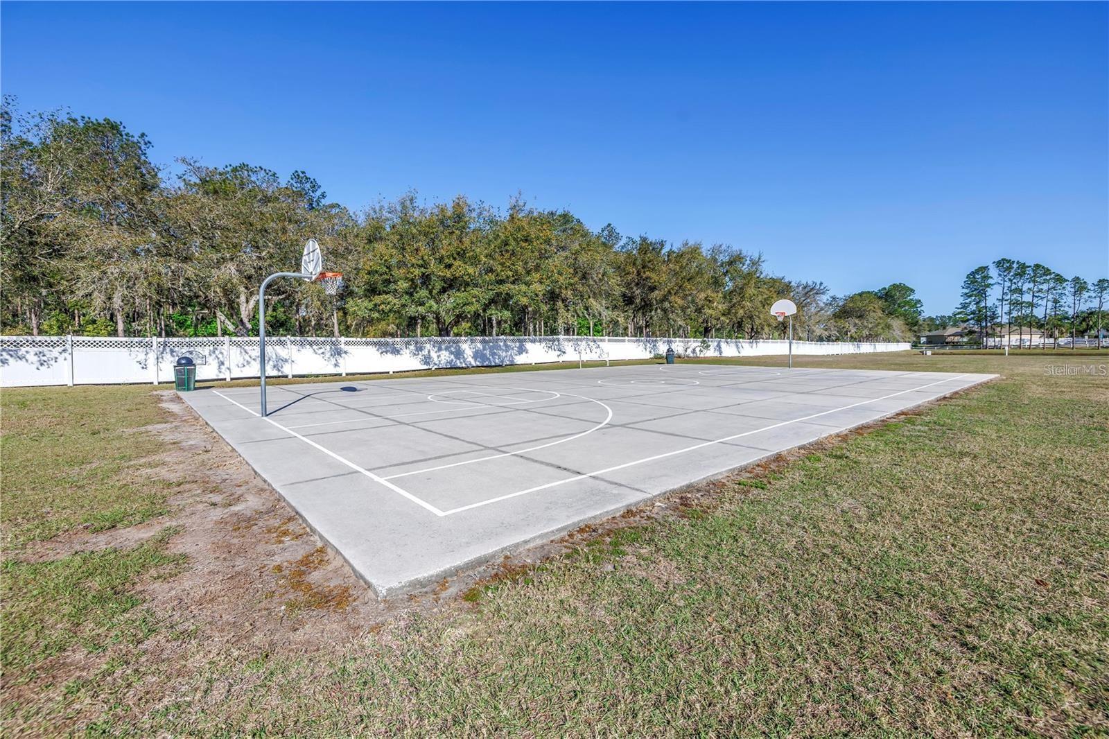 4810 PATAGONIA PL, LAND O LAKES, FL, 34638