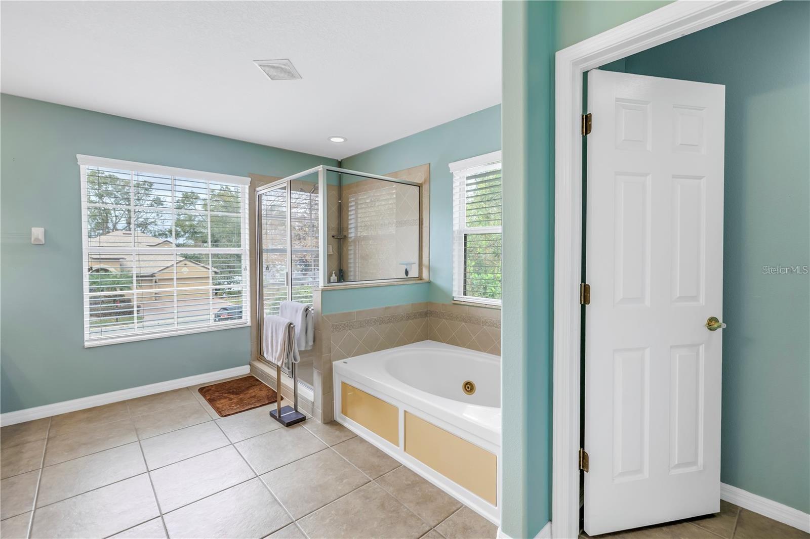 4810 PATAGONIA PL, LAND O LAKES, FL, 34638