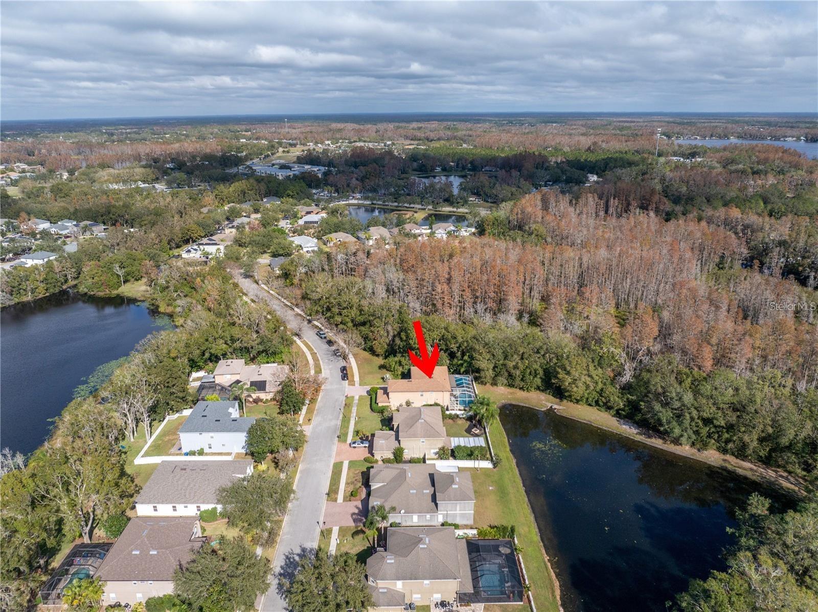 4810 PATAGONIA PL, LAND O LAKES, FL, 34638