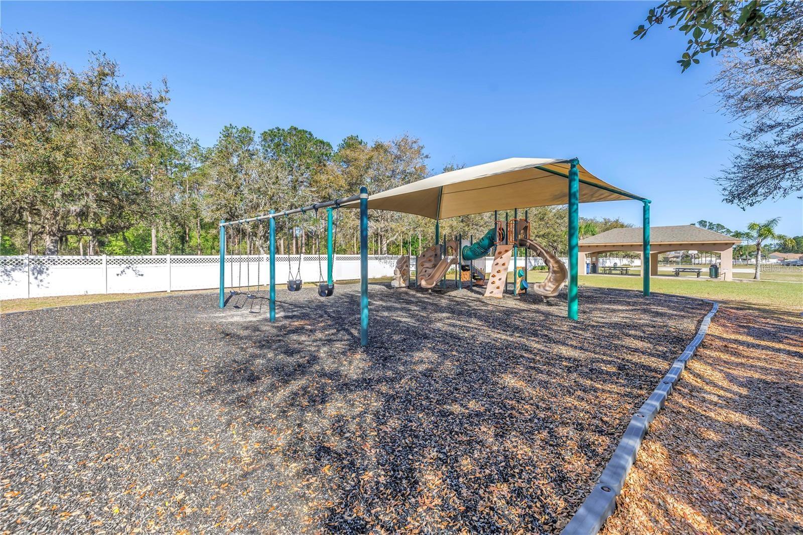 4810 PATAGONIA PL, LAND O LAKES, FL, 34638