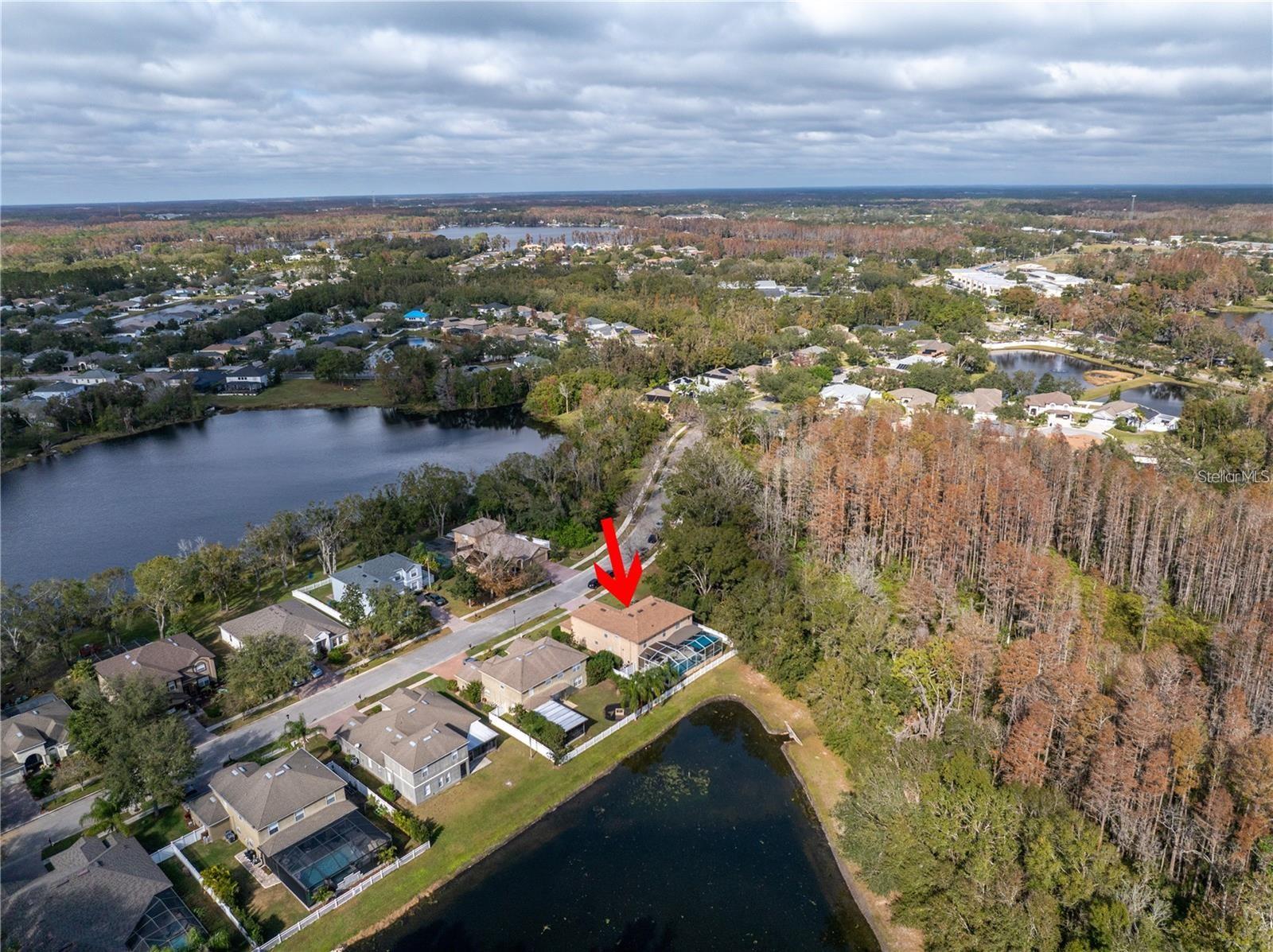 4810 PATAGONIA PL, LAND O LAKES, FL, 34638