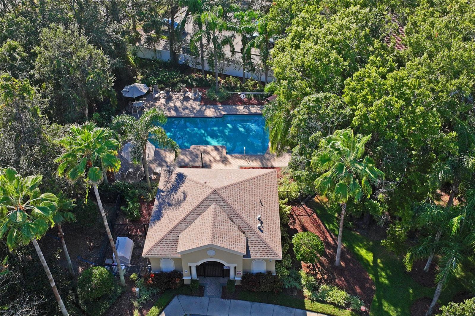 Bird's eye view of community pool