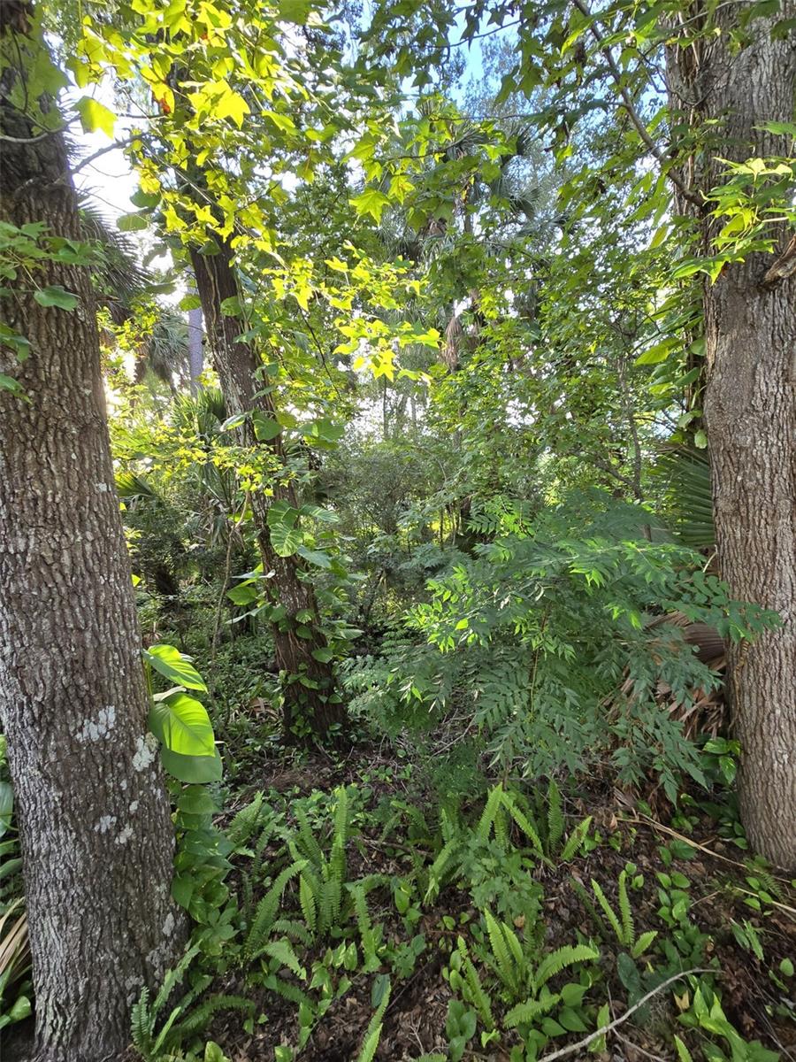 GC534136 Property Photo