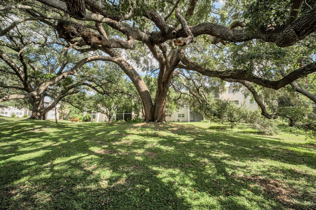 TB8429360 Property Photo