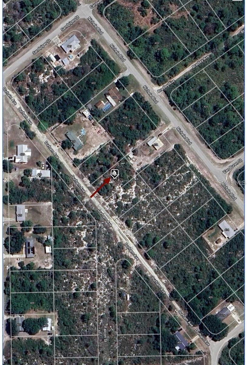 419 DURHAM AVE, LAKE PLACID, FL, 33852