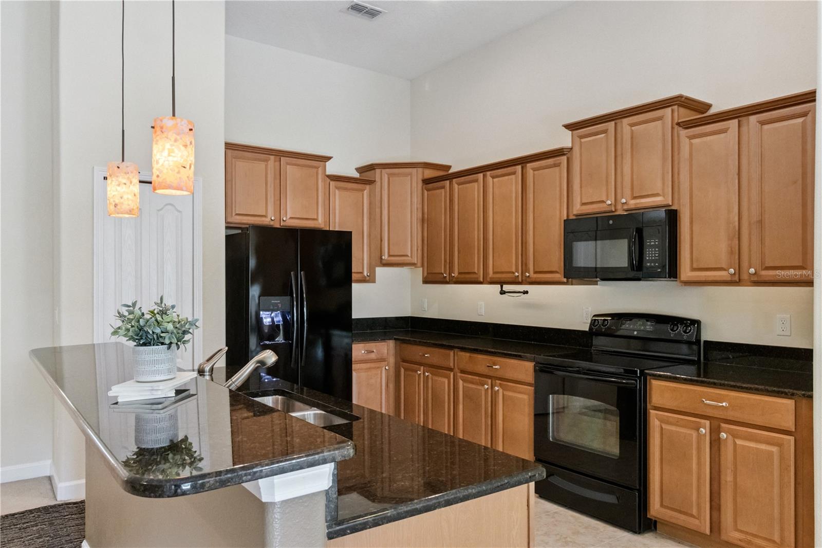 5832 TARLETON WAY, MOUNT DORA, FL, 32757