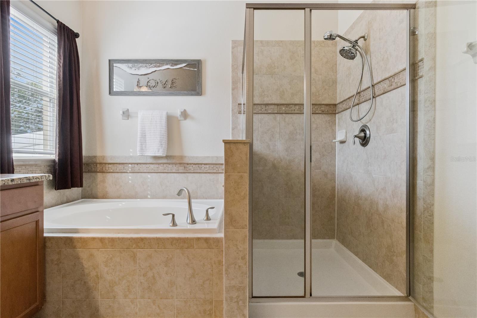 5832 TARLETON WAY, MOUNT DORA, FL, 32757