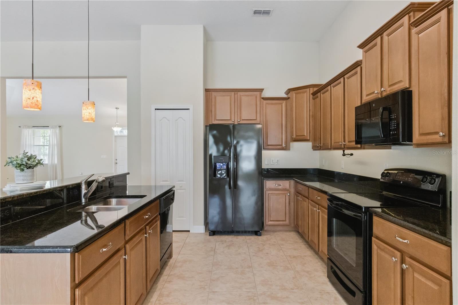 5832 TARLETON WAY, MOUNT DORA, FL, 32757