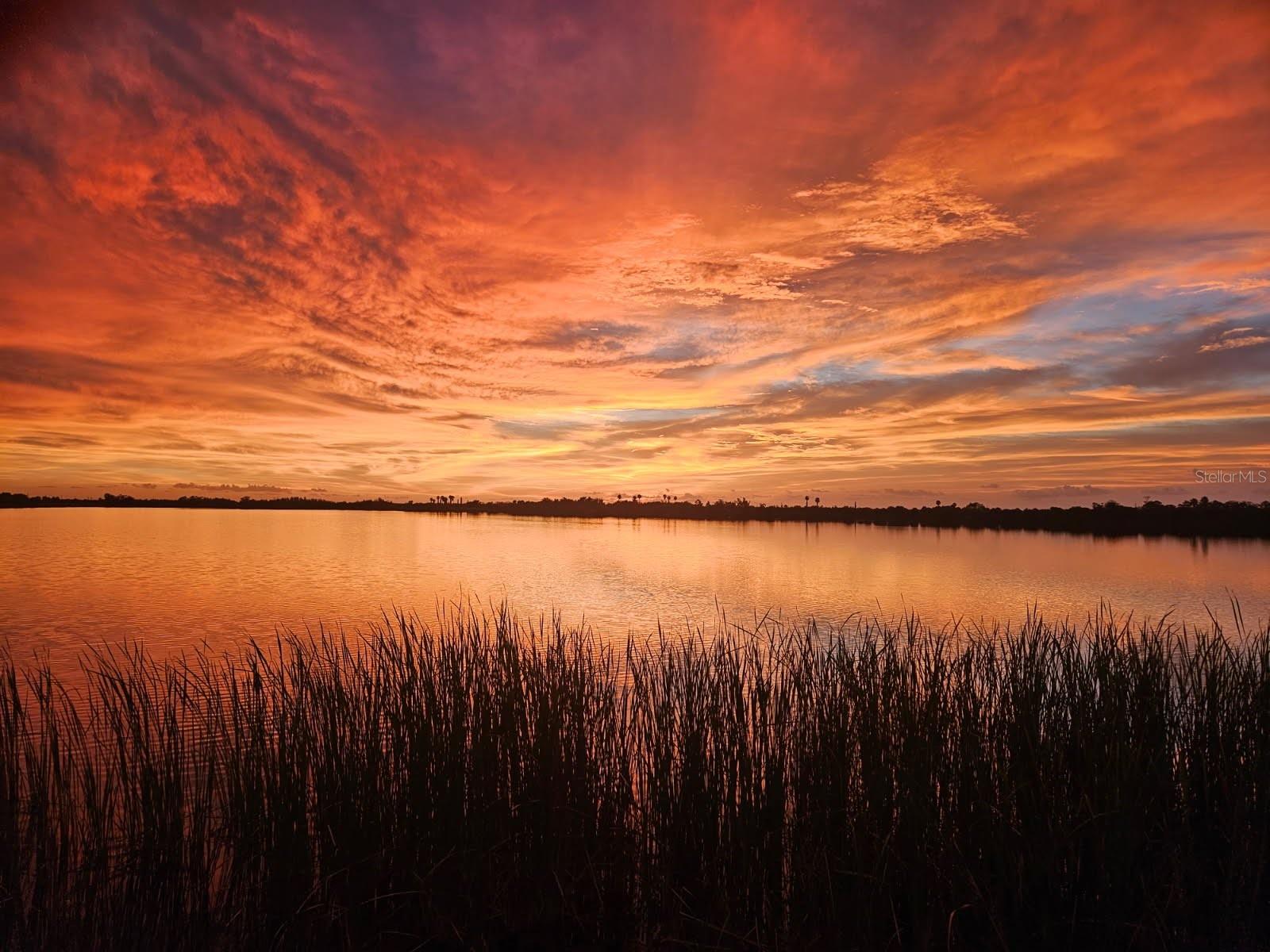 TB8429656 Property Photo