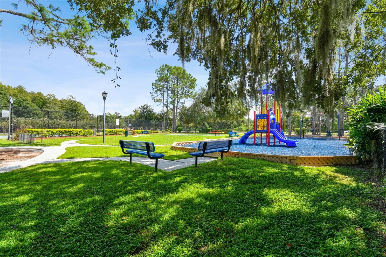 9210 DAYFLOWER DR, TAMPA, FL, 33647