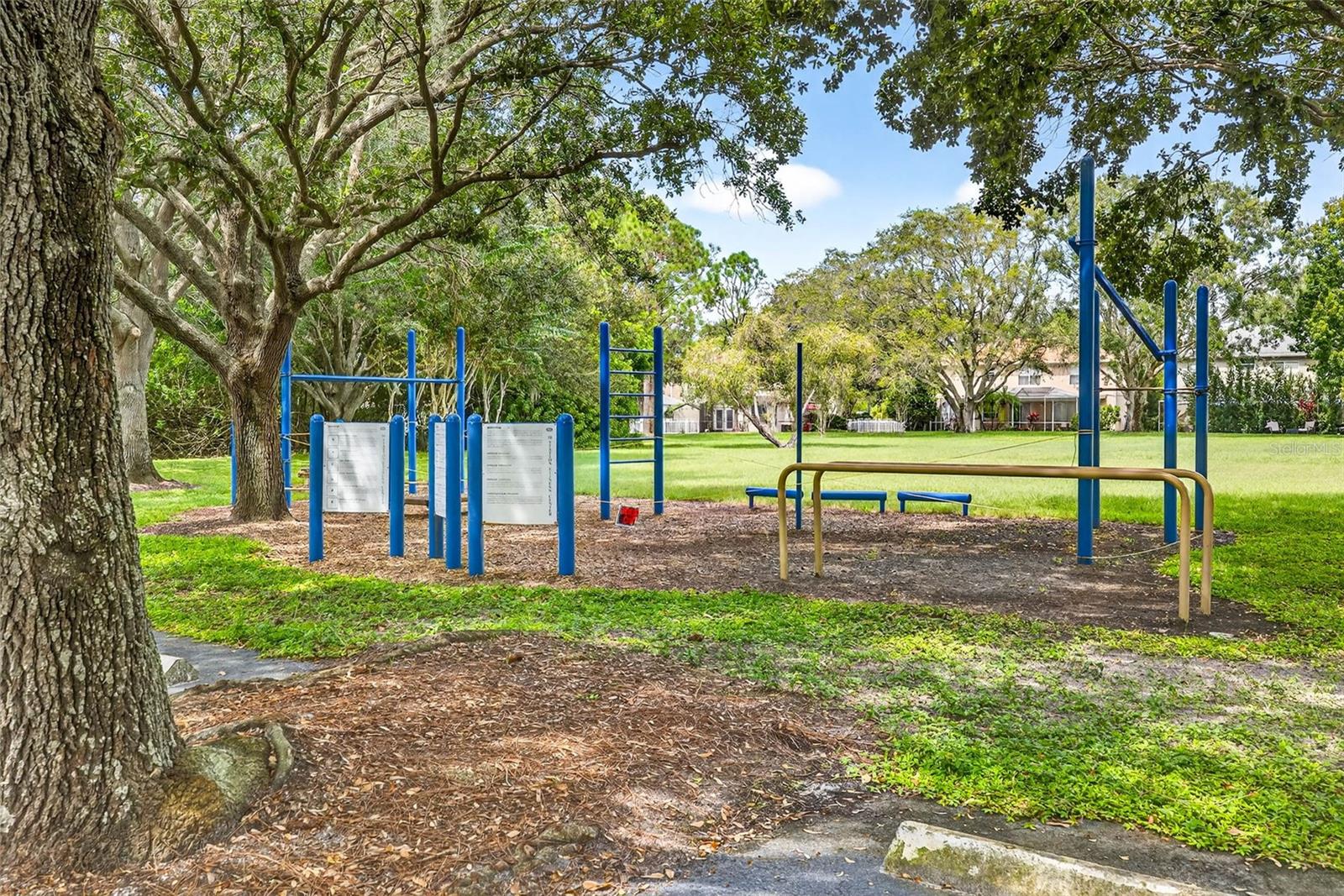 11215 CLAYRIDGE DR, TAMPA, FL, 33635