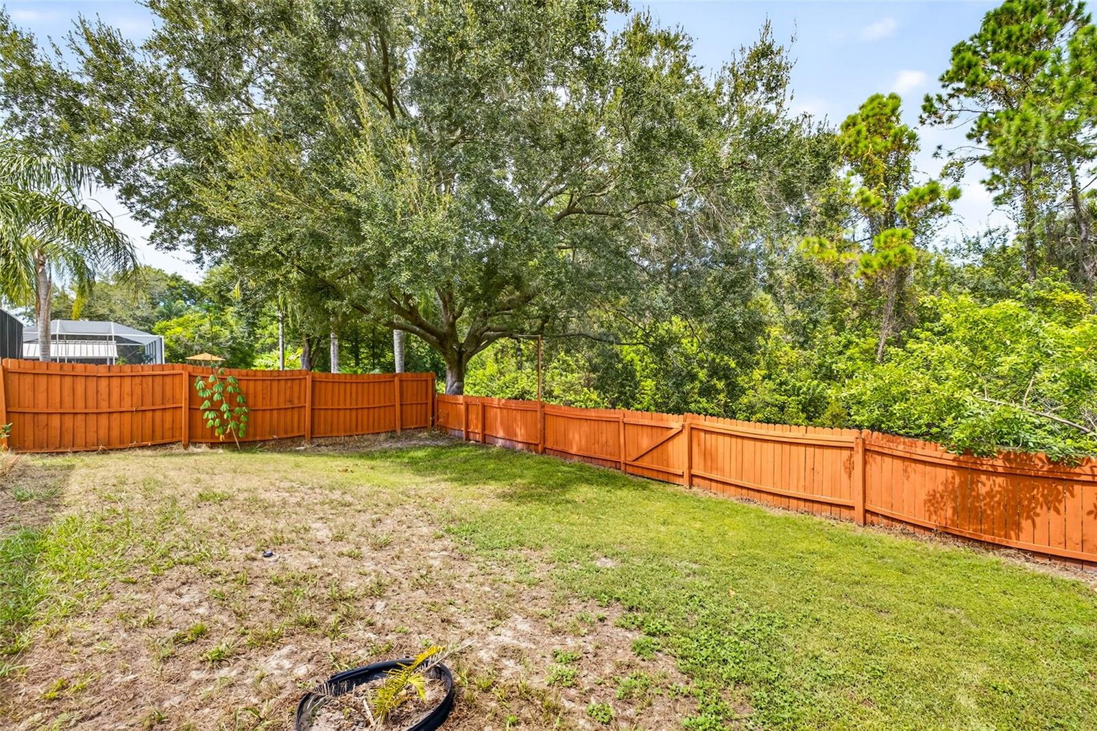 11215 CLAYRIDGE DR, TAMPA, FL, 33635