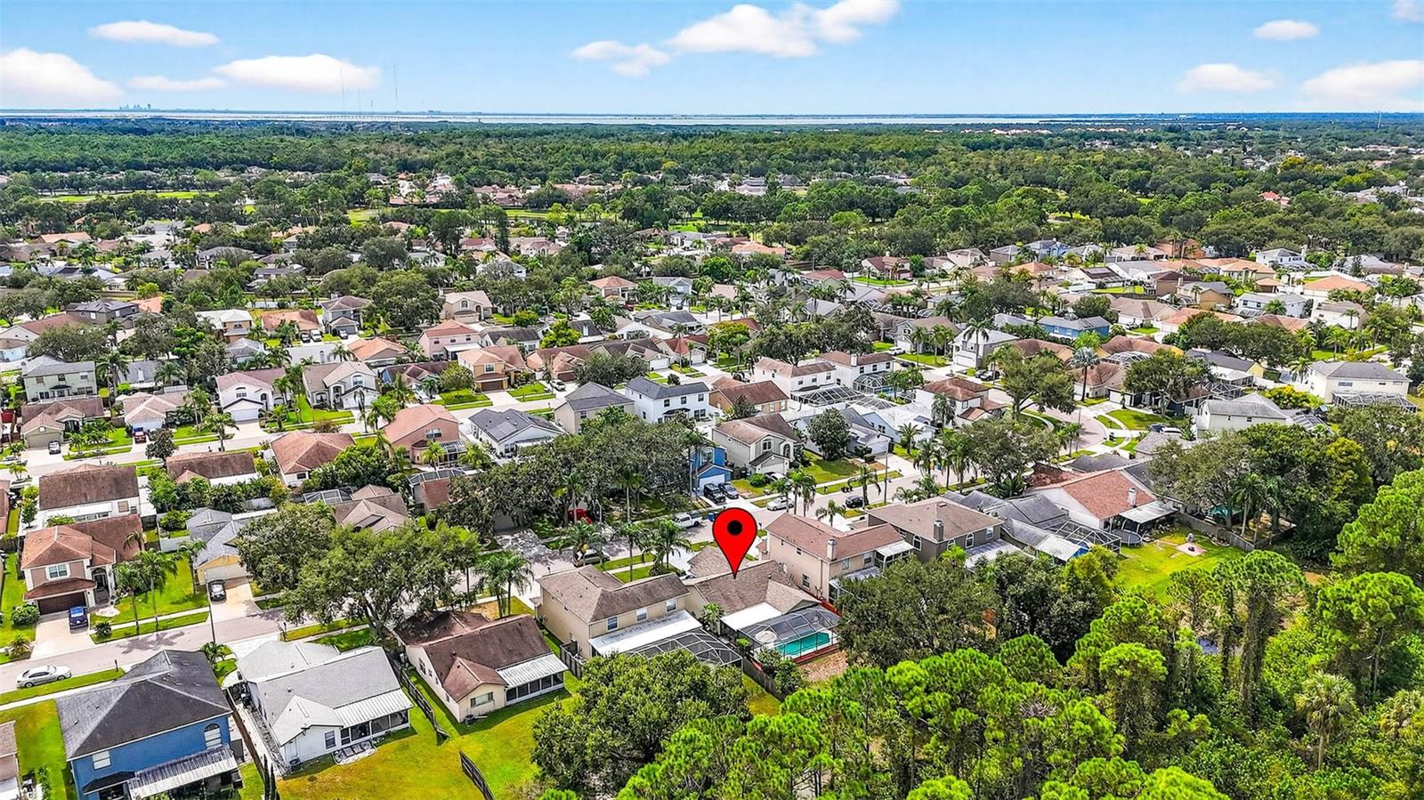 11215 CLAYRIDGE DR, TAMPA, FL, 33635