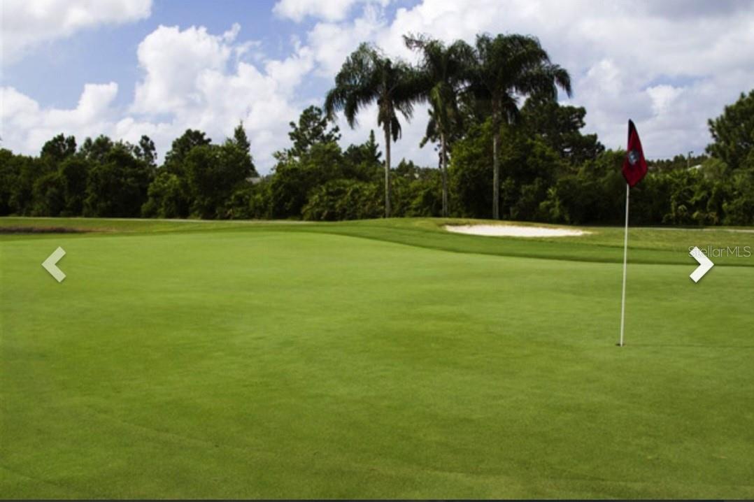 HERITAGE HARBOR PH 1B, LUTZ, FL, 33558