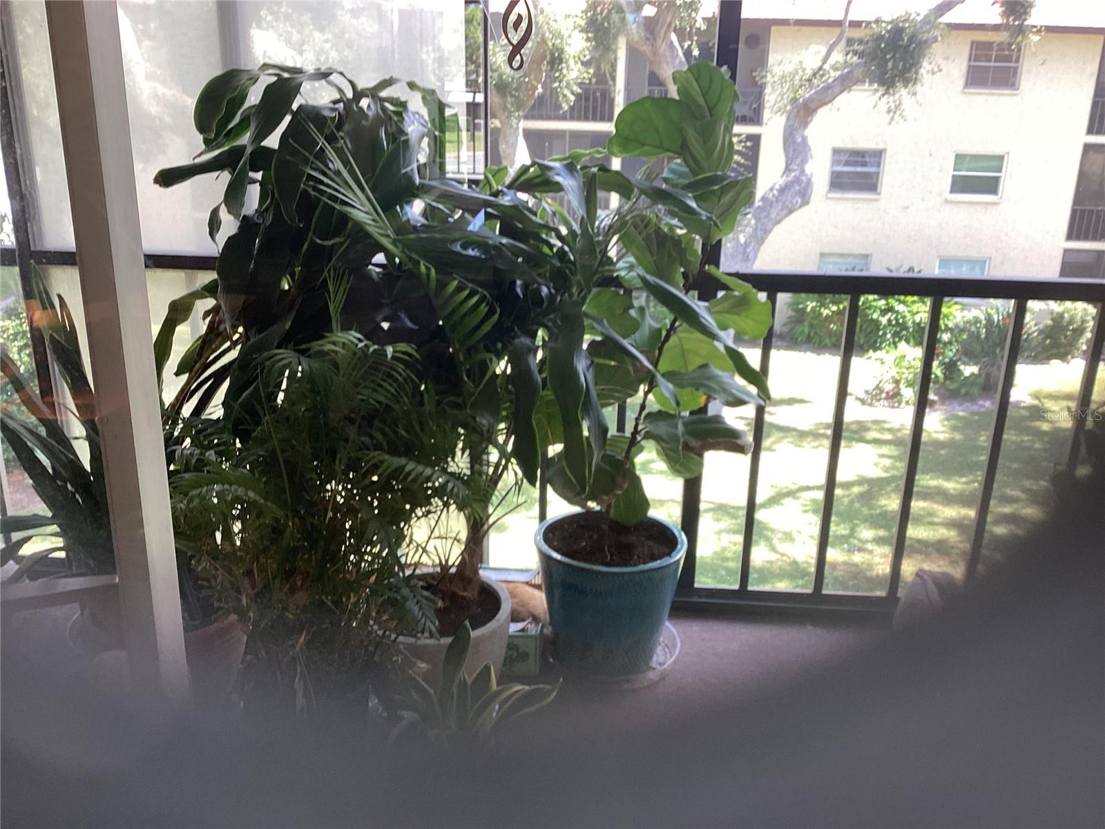 2240 STICKNEY POINT RD #231, SARASOTA, FL, 34231