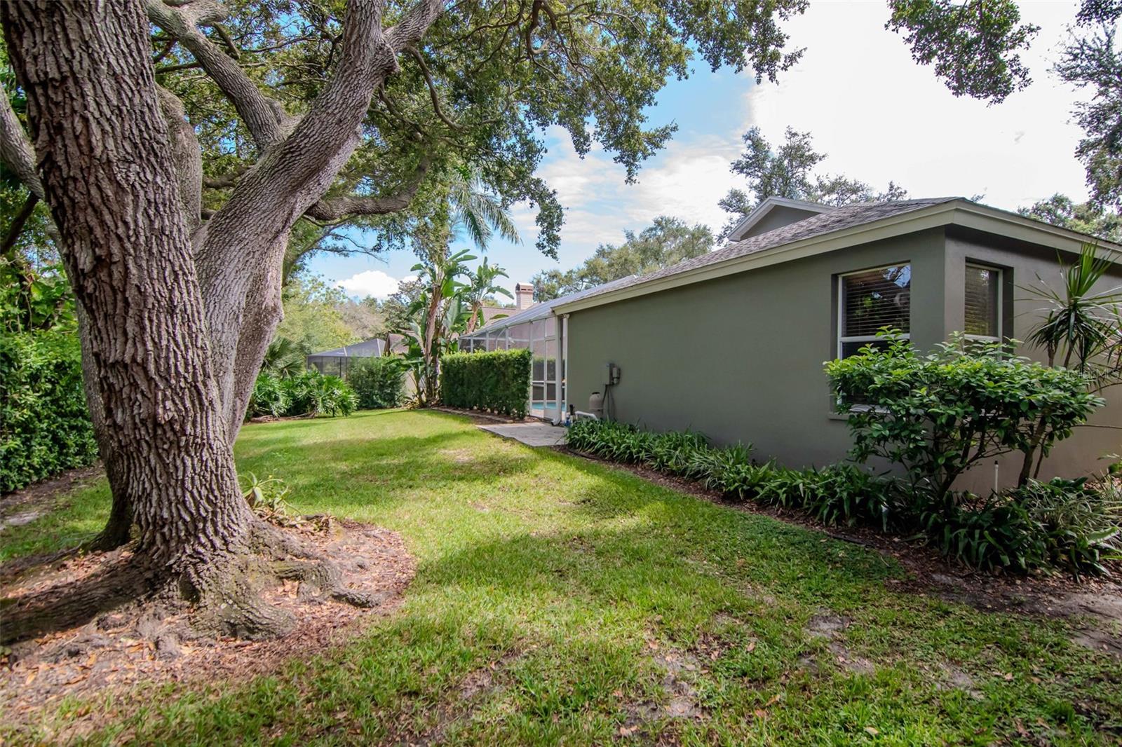 3036 HOMESTEAD CT, CLEARWATER, FL, 33759