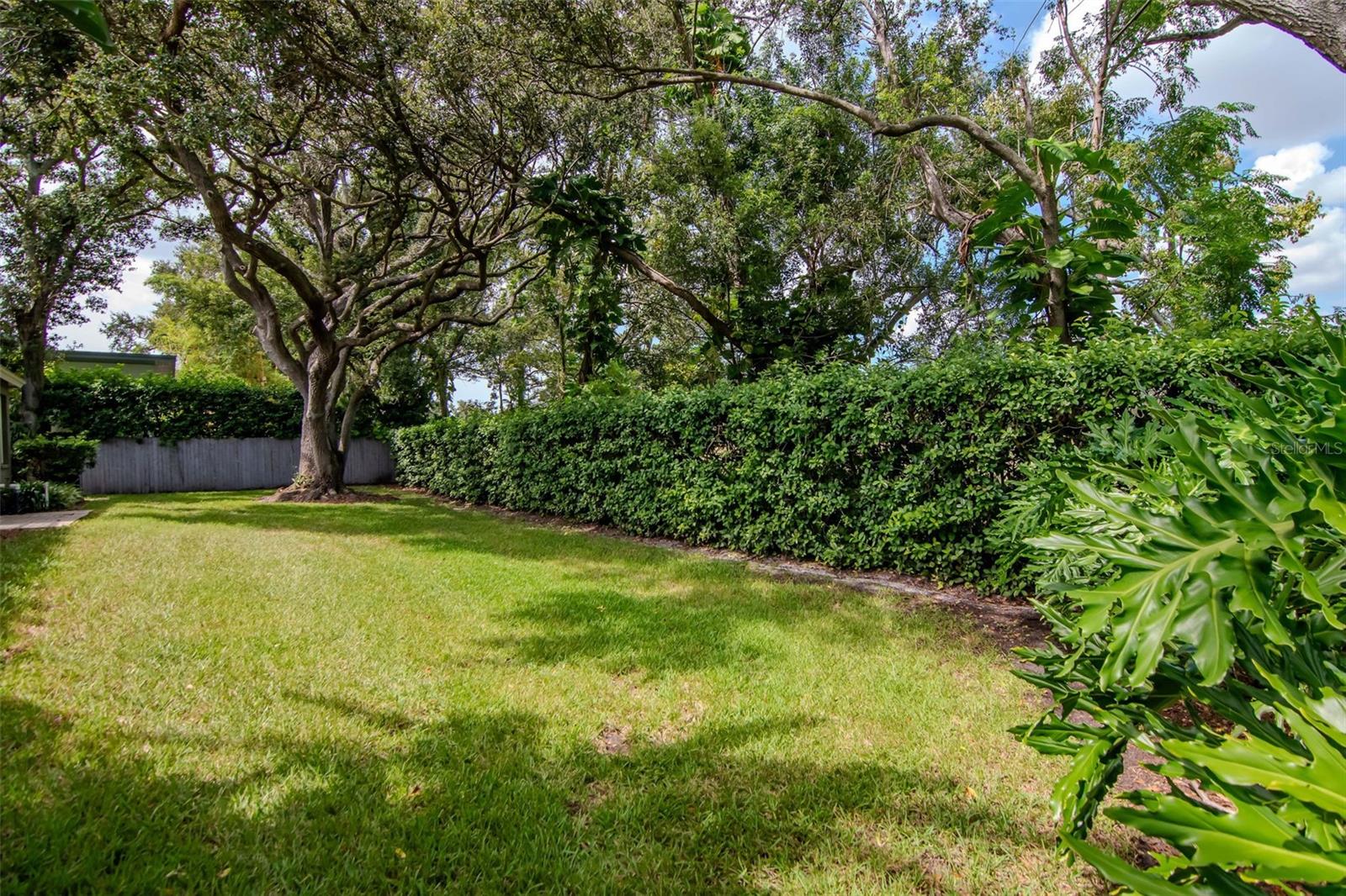 3036 HOMESTEAD CT, CLEARWATER, FL, 33759