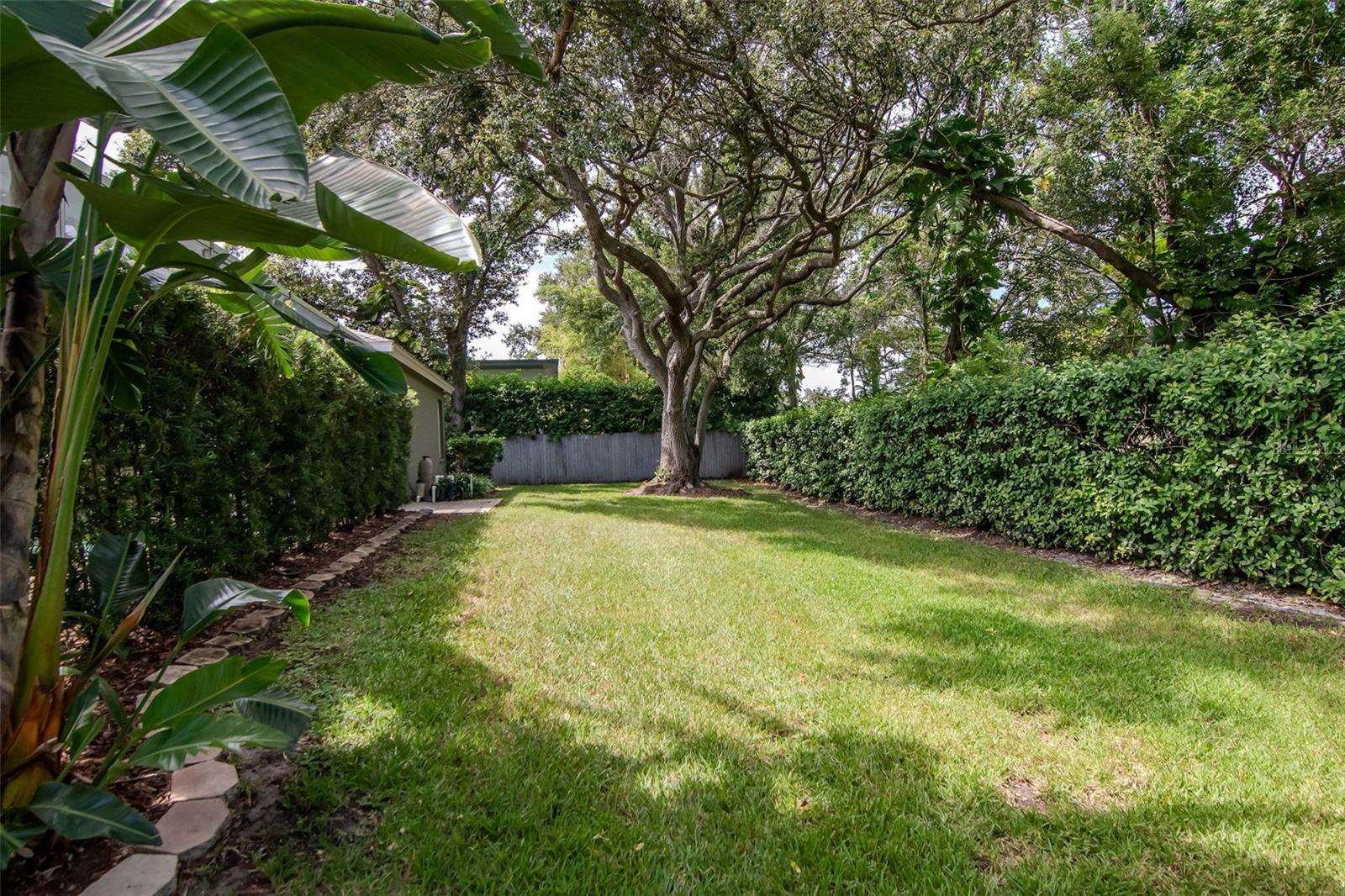 3036 HOMESTEAD CT, CLEARWATER, FL, 33759