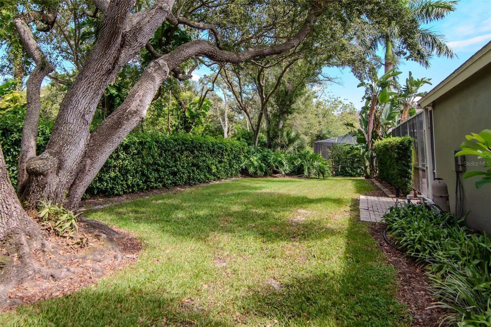 3036 HOMESTEAD CT, CLEARWATER, FL, 33759