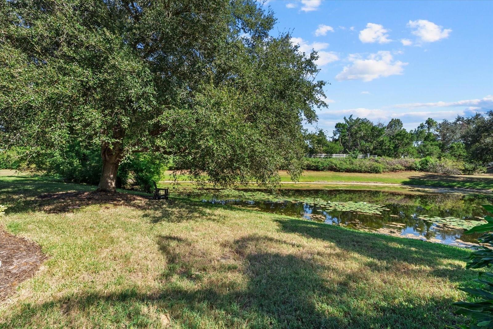 13876 SIENA LOOP, LAKEWOOD RANCH, FL, 34202