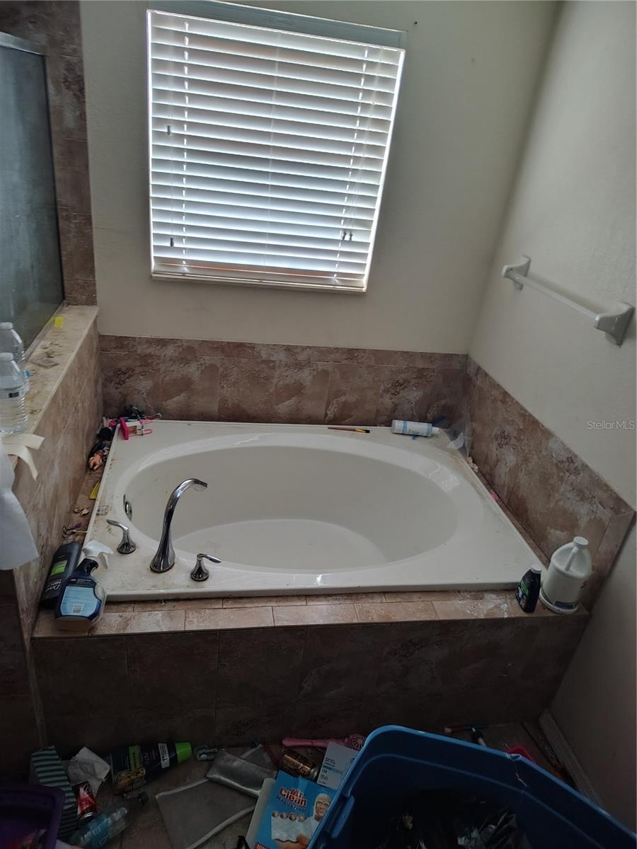 Master ensuite garden tub