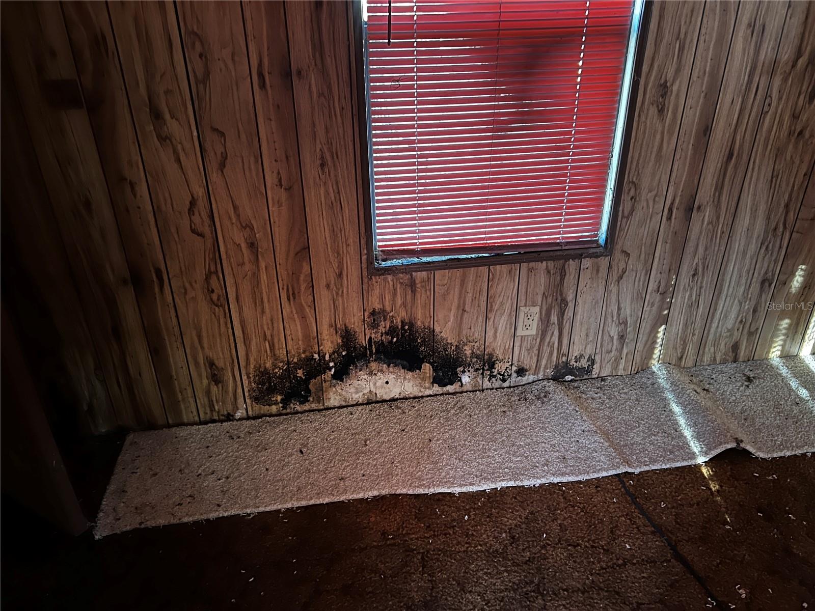 GC534195 Property Photo