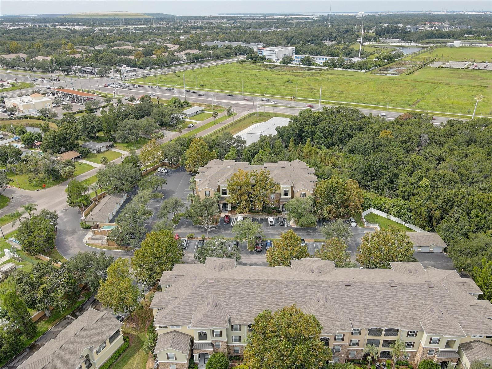 2407 COURTNEY MEADOWS CT #103, TAMPA, FL, 33619