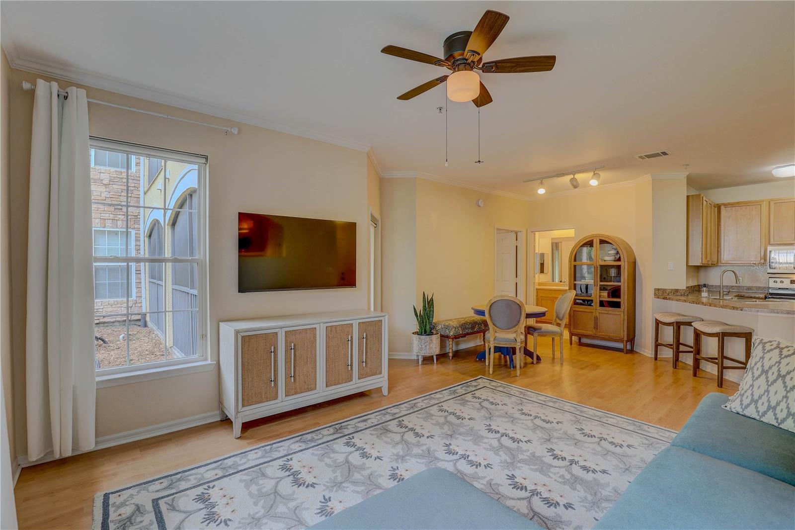 2407 COURTNEY MEADOWS CT #103, TAMPA, FL, 33619