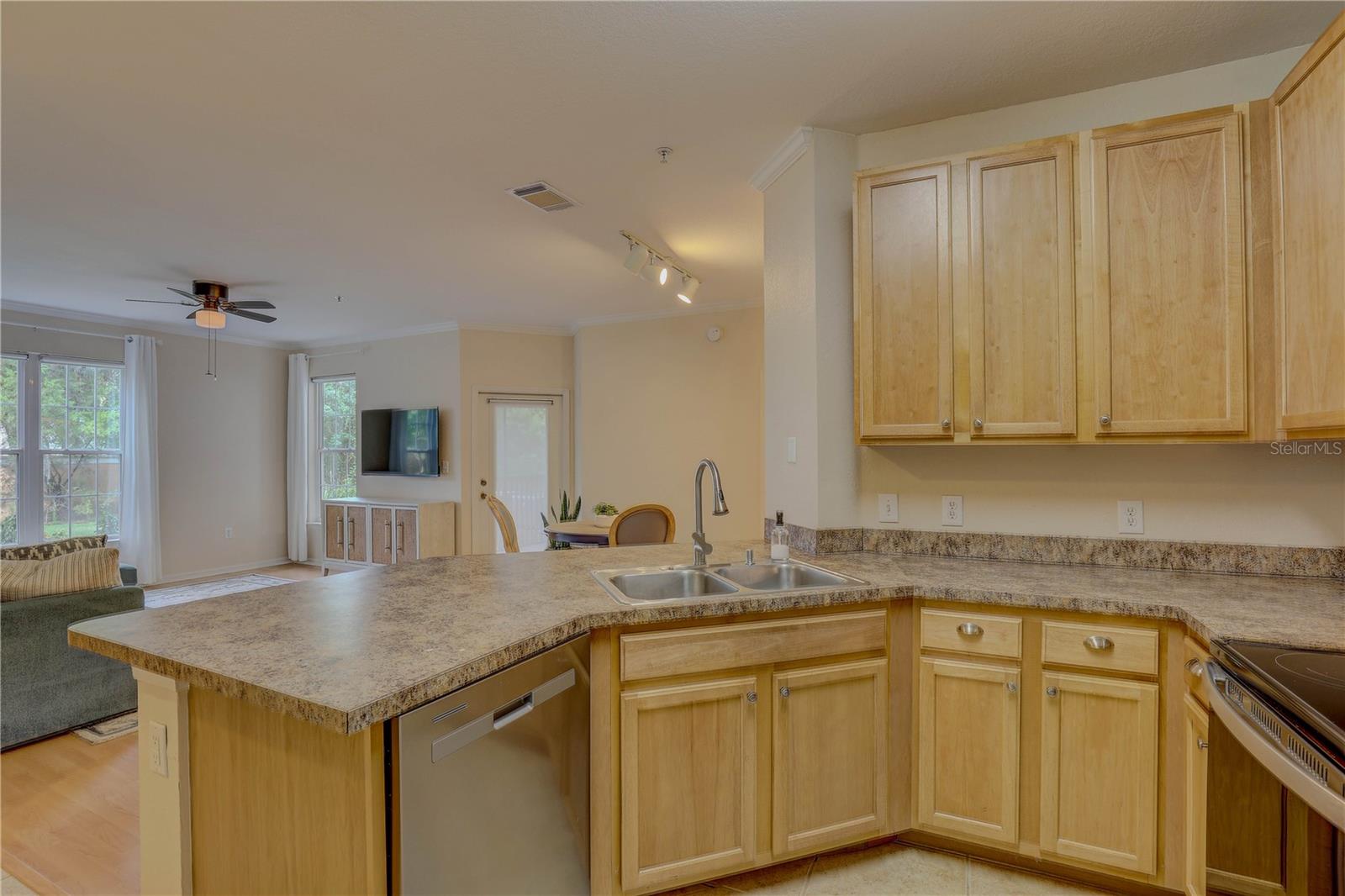 2407 COURTNEY MEADOWS CT #103, TAMPA, FL, 33619