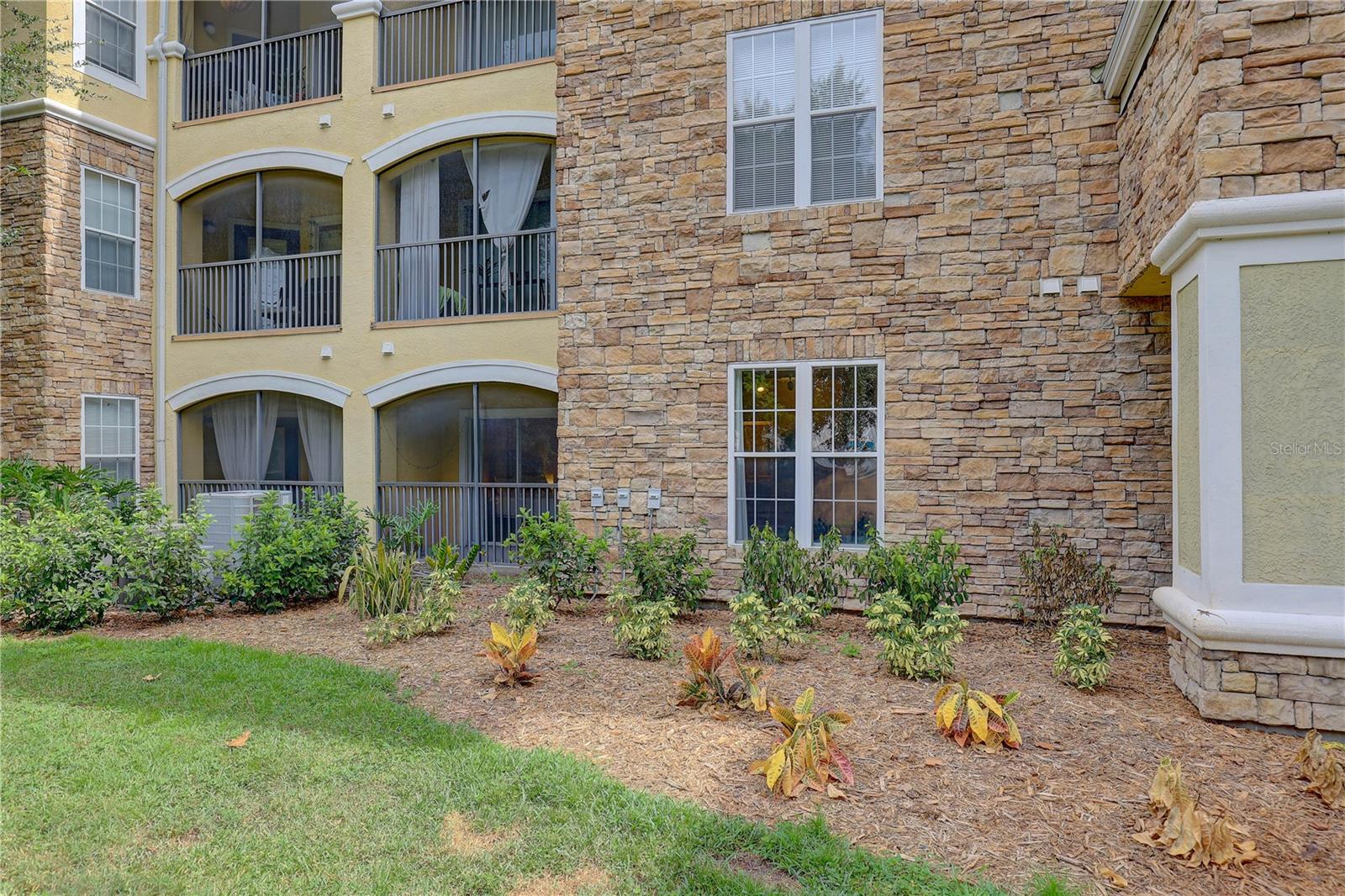 2407 COURTNEY MEADOWS CT #103, TAMPA, FL, 33619