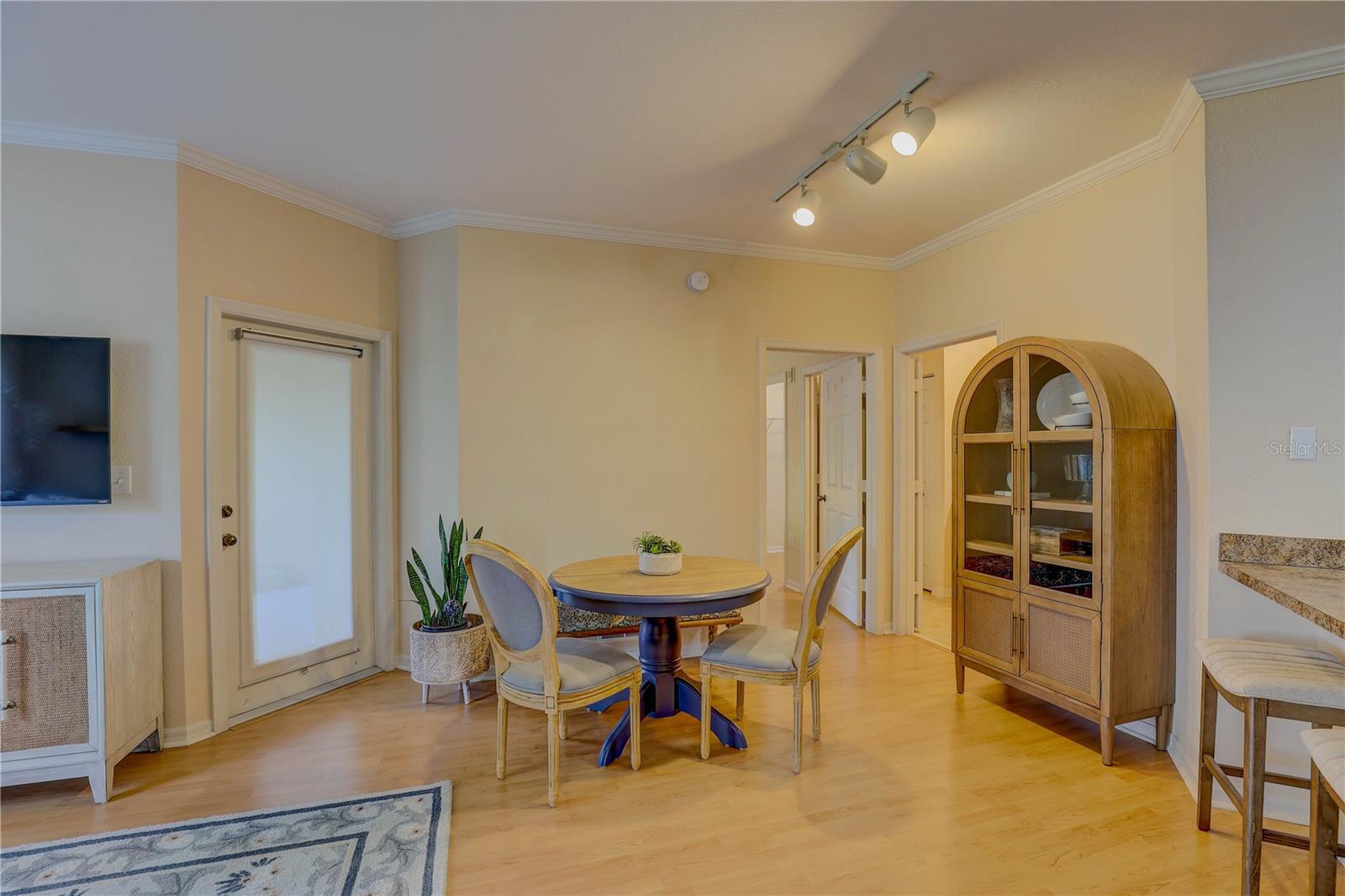 2407 COURTNEY MEADOWS CT #103, TAMPA, FL, 33619