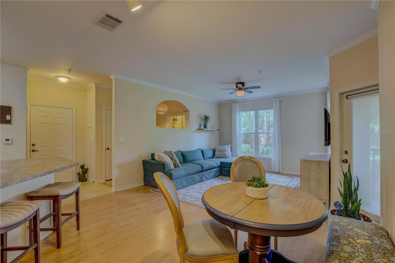 2407 COURTNEY MEADOWS CT #103, TAMPA, FL, 33619