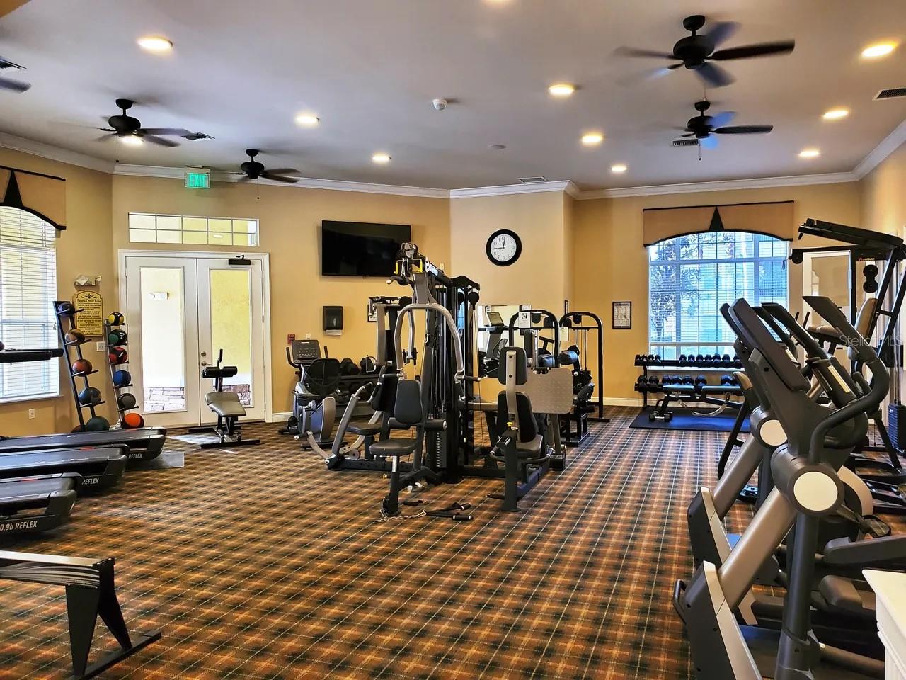 2407 COURTNEY MEADOWS CT #103, TAMPA, FL, 33619