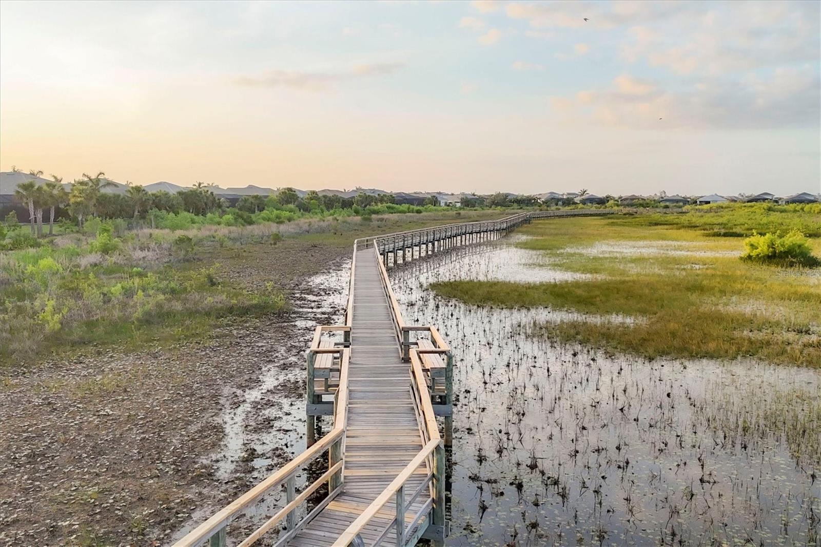 8195 REDONDA LOOP, LAKEWOOD RANCH, FL, 34202