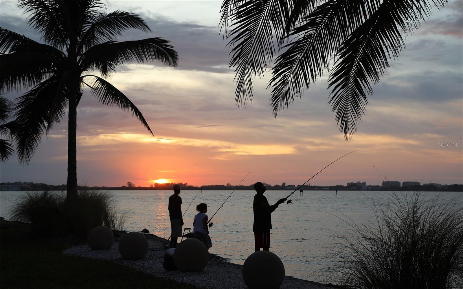 1300 BENJAMIN FRANKLIN DR #709, SARASOTA, FL, 34236