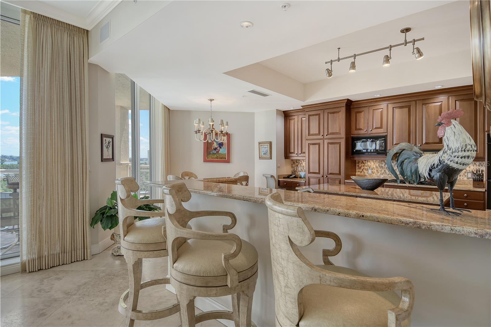 1300 BENJAMIN FRANKLIN DR #709, SARASOTA, FL, 34236