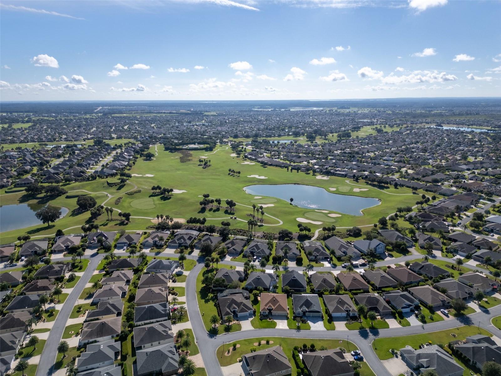 3009 OLENDA DR, THE VILLAGES, FL, 32163